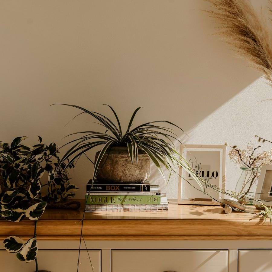 bureau top decorated with potted plants, books and framed pictures